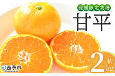 ＜おはこやがつくる 甘平 約2kg（L～3Lサイズ）＞ 果物 フルーツ 柑橘 カンペイ みかん ミカン 蜜柑 特産品 西宇和 愛媛県 西予市 【常温】