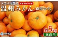 先行予約 ＜夕焼け山農園 愛媛県西予市産 温州みかん 家庭用 約5kg（南柑20号）＞果物 フルーツ ミカン 蜜柑 柑橘 なんかん 訳あり うんしゅうみかん ウンシュウ 特産品 愛媛県 西予市 【常温】