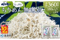 ＜井上のちりめん 無選別 合計約360g（180g入り×2袋）＞ ちりめんじゃこ タコ エビ イカ 稚魚 バラバラ かたくちいわし 小魚 小分け カルシウム 乾物 ジッパー付 たっぷり 便利 海鮮 井上水産 特産品 愛媛県 西予市【冷蔵】