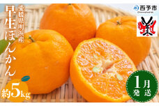 ＜愛媛明浜産 早生ぽんかん 約5kg 1月発送＞ 果物 フルーツ みかん ミカン 蜜柑 柑橘 ポンカン 早生 生産量全国1位 おいしい 特産品 渡江から一歩を踏み出す会 愛媛県 西予市 【常温】