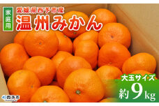 ＜愛媛県西予市産 温州みかん 大玉サイズ 家庭用 約9kg＞ 愛媛県産 西宇和 大玉 大きめ 家庭用 果物 フルーツ 柑橘 うんしゅうみかん ウンシュウミカン オレンジ ミカン 蜜柑 訳あり 小林果園 愛媛県 西予市【常温】