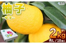 ＜柚子 秀 Lサイズ 18個＞ 約2kg 2000g ゆず 国産 果物 フルーツ 低樹高栽培 おいしい JAひがしうわ 東宇和農業協同組合 愛媛県 西予市【常温】『2025年10月下旬～11月下旬迄に順次出荷予定』