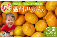 ＜訳あり 温州みかん 約3kg＞ 明浜産 果物 フルーツ みかん 蜜柑 ミカン うんしゅうみかん ウンシュウミカン オレンジ 柑橘 家庭用 食べて応援 特産品 浜のみかん屋 直送 愛媛県 西予市 【常温】