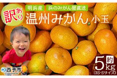 ＜訳あり 温州みかん 小玉 約5kg＞ 明浜産 果物 フルーツ みかん 蜜柑 ミカン うんしゅうみかん ウンシュウミカン オレンジ 柑橘 家庭用 食べて応援 特産品 浜のみかん屋 直送 愛媛県 西予市 【常温】