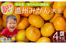 ＜訳あり 温州みかん 大玉 約4kg＞ 明浜産 果物 フルーツ みかん 蜜柑 ミカン うんしゅうみかん ウンシュウミカン オレンジ 柑橘 家庭用 食べて応援 特産品 浜のみかん屋 直送 愛媛県 西予市 【常温】