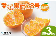 紅まどんなと同品種！＜愛媛果試28号 家庭用 約3kg＞ 訳あり わけあり 自宅用 果物 フルーツ みかん ミカン 蜜柑 オレンジ えひめかし 選べる 食べて応援 特産品 柑橘園柴田 愛媛県 西予市【常温】