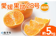 紅まどんなと同品種！＜愛媛果試28号 家庭用 約5kg＞ 訳あり わけあり 自宅用 果物 フルーツ みかん ミカン 蜜柑 オレンジ えひめかし 選べる 食べて応援 特産品 柑橘園柴田 愛媛県 西予市【常温】