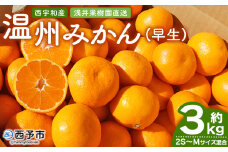 先行予約 ＜浅井果樹園 温州みかん 約3kg（早生）＞ 柑橘 果物 フルーツ ミカン 蜜柑 オレンジ うんしゅうみかん ウンシュウミカン ワセ 食べて応援 特産品 西宇和 愛媛県 西予市 【常温】