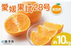 紅まどんなと同品種！＜愛媛果試28号 家庭用 約10kg＞ 訳あり わけあり 自宅用 果物 フルーツ みかん ミカン 蜜柑 オレンジ えひめかし 選べる 食べて応援 特産品 柑橘園柴田 愛媛県 西予市【常温】