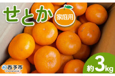 ＜せとか 家庭用 約3kg＞ 訳あり わけあり 自宅用 果物 フルーツ みかん ミカン 蜜柑 オレンジ 柑橘 セトカ ジューシー サイズ不揃い 食べて応援 特産品 柑橘園柴田 愛媛県 西予市【常温】