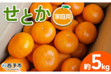 ＜せとか 家庭用 約5kg＞ 訳あり わけあり 自宅用 果物 フルーツ みかん ミカン 蜜柑 オレンジ 柑橘 セトカ ジューシー サイズ不揃い 食べて応援 特産品 柑橘園柴田 愛媛県 西予市【常温】