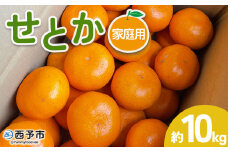 ＜せとか 家庭用 約10kg＞ 訳あり わけあり 自宅用 果物 フルーツ みかん ミカン 蜜柑 オレンジ 柑橘 セトカ ジューシー サイズ不揃い 食べて応援 特産品 柑橘園柴田 愛媛県 西予市【常温】