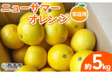 ＜ニューサマーオレンジ 家庭用 約5kg＞ 訳あり わけあり 自宅用 果物 フルーツ みかん ミカン 蜜柑 オレンジ 柑橘 にゅーさまーおれんじ 選べる 食べて応援 特産品 柑橘園柴田 愛媛県 西予市【常温】
