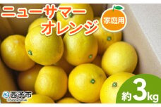 ＜ニューサマーオレンジ 家庭用 約3kg＞ 訳あり わけあり 自宅用 果物 フルーツ みかん ミカン 蜜柑 オレンジ 柑橘 にゅーさまーおれんじ 選べる 食べて応援 特産品 柑橘園柴田 愛媛県 西予市【常温】