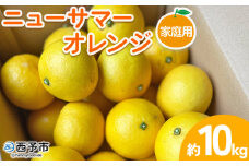 ＜ニューサマーオレンジ 家庭用 約10kg＞ 訳あり わけあり 自宅用 果物 フルーツ みかん ミカン 蜜柑 オレンジ 柑橘 にゅーさまーおれんじ 選べる 食べて応援 特産品 柑橘園柴田 愛媛県 西予市【常温】