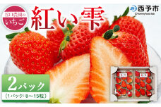 2025年発送＜谷口農園のいちご「紅い雫」約500g（約250g×2パック）西予市 宇和町産＞ イチゴ 果物 フルーツ ストロベリー ジューシー 特産品 株式会社フジ・アグリフーズ 愛媛県 西予市【冷蔵】