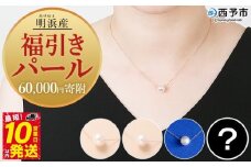 保証書付＜明浜産 福引きパール（60,000円寄附）＞ 8.0～9.0mm 純国産 高品質 アコヤ真珠 パール あこや ネックレス アクセサリー レディース 女性 誕生日 記念日 成人祝い 明浜産 佐藤真珠 cosmic 愛媛県 西予市【常温】