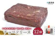＜中城本家酒造「城川郷」酒粕のチョコテリーヌ 12個＞ とろんと滑らか食感 お酒好き お菓子 焼き菓子 洋菓子 おやつ デザート お取り寄せ 詰合せ 詰め合わせ 個包装 美味しい ギフト スイーツ工房絹 愛媛県 西予市【冷凍】『1か月以内に順次出荷予定』