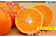 紅まどんなと同品種！＜愛媛県西予市産 宇和のマドンナ 約4kg（M寸～2L 約11～15個）＞ 果物 柑橘 みかん ミカン 蜜柑 愛媛果試第28号 紅マドンナ 化粧箱 贈答用 ギフト 南予園芸 愛媛県 西予市【常温】