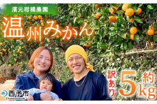 ＜明浜産 温州みかん 約5kg 訳あり＞ 愛媛みかん 農家直送 家庭用 自宅用 ワケアリ 果物 フルーツ 柑橘 ミカン 蜜柑 S～L 濱元柑橘農園 西予市【常温】『2025年11月下旬から12月中旬までに順次出荷予定』