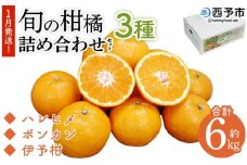 ＜1月発送！旬の柑橘 詰め合わせセット 3種×各2kg＞ 果物 フルーツ みかん ミカン 蜜柑 柑橘 オレンジ ブラッドオレンジ なつみ はるか ネーブル ポンカン 甘夏 特産品 宇都宮物産 愛媛県 西予市【常温】『1月に順次出荷予定』