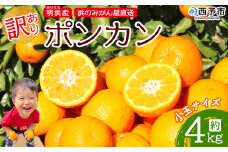 ＜訳あり ポンカン 小玉 約4kg＞  小さいサイズ ぽんかん ミカン 家庭用 果物 フルーツ おいしい 甘い オレンジ 柑橘類 明浜産 あけはま ご自宅用 特産品 浜のみかん屋 愛媛県 西予市【常温】