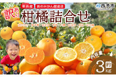 ＜旬の訳あり柑橘詰め合わせ 約3kg＞ みかん ミカン 家庭用 果物 フルーツ おいしい 甘い オレンジ 柑橘類 ご自宅用 おまかせ 特産品 あけはま 明浜産 浜のみかん屋 愛媛県 西予市【常温】