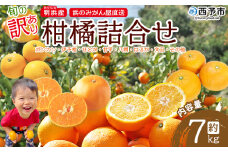 ＜旬の訳あり柑橘詰め合わせ 約7kg＞  みかん ミカン 家庭用 果物 フルーツ おいしい 甘い オレンジ 柑橘類 ご自宅用 おまかせ 特産品 あけはま 明浜産 浜のみかん屋 愛媛県 西予市【常温】