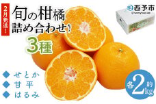 ＜2月発送！旬の柑橘 詰め合わせセット 3種×各2kg＞ 果物 フルーツ みかん ミカン 蜜柑 柑橘 オレンジ ブラッドオレンジ なつみ はるか ネーブル ポンカン 甘夏 特産品 宇都宮物産 愛媛県 西予市【常温】『2月に順次出荷予定』