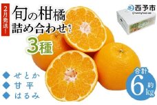 ＜2月発送！旬の柑橘 詰め合わせセット 3種×各2kg＞ 果物 フルーツ みかん ミカン 蜜柑 柑橘 オレンジ ブラッドオレンジ なつみ はるか ネーブル ポンカン 甘夏 特産品 宇都宮物産 愛媛県 西予市【常温】『2月に順次出荷予定』