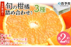 ＜4月発送！旬の柑橘 詰め合わせセット 3種×各2kg＞ 果物 フルーツ みかん ミカン 蜜柑 柑橘 オレンジ ブラッドオレンジ なつみ はるか ネーブル ポンカン 甘夏 特産品 宇都宮物産 愛媛県 西予市【常温】『4月に順次出荷予定』