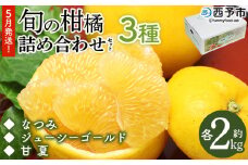 ＜5月発送！旬の柑橘 詰め合わせセット 3種×各2kg＞ 果物 フルーツ みかん ミカン 蜜柑 柑橘 オレンジ ブラッドオレンジ なつみ はるか ネーブル ポンカン 甘夏 特産品 宇都宮物産 愛媛県 西予市【常温】『5月に順次出荷予定』