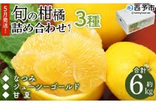 ＜5月発送！旬の柑橘 詰め合わせセット 3種×各2kg＞ 果物 フルーツ みかん ミカン 蜜柑 柑橘 オレンジ ブラッドオレンジ なつみ はるか ネーブル ポンカン 甘夏 特産品 宇都宮物産 愛媛県 西予市【常温】『5月に順次出荷予定』