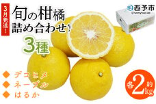 ＜3月発送！旬の柑橘 詰め合わせセット 3種×各2kg＞ 果物 フルーツ みかん ミカン 蜜柑 柑橘 オレンジ ブラッドオレンジ なつみ はるか ネーブル ポンカン 甘夏 特産品 宇都宮物産 愛媛県 西予市【常温】『3月に順次出荷予定』