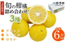 ＜3月発送！旬の柑橘 詰め合わせセット 3種×各2kg＞ 果物 フルーツ みかん ミカン 蜜柑 柑橘 オレンジ ブラッドオレンジ なつみ はるか ネーブル ポンカン 甘夏 特産品 宇都宮物産 愛媛県 西予市【常温】『3月に順次出荷予定』