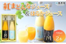 ＜紅まどんなとはるかジュース 720ml×2本セット＞ 果汁100％ ストレートジュース みかん ミカン 果物 くだもの フルーツ 柑橘 紅マドンナ べにまどんな ハルカ 特産品 マルワフルーツ園芸 宇都宮物産 愛媛県 西予市【常温】