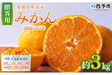 ＜みかん（南柑20号）贈答用 約3kg＞ 果物 くだもの フルーツ ミカン 柑橘 なんかん20ごう ナンカン20ゴウ 温州みかん うんしゅうみかん 贈答 ギフト プレゼント 特産品 株式会社笑丸 愛媛県 西予市【常温】