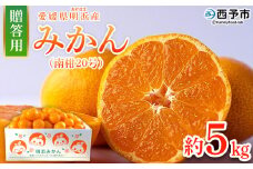 ＜みかん（南柑20号）贈答用 約5kg＞ 果物 くだもの フルーツ ミカン 柑橘 なんかん20ごう ナンカン20ゴウ 温州みかん うんしゅうみかん 贈答 ギフト プレゼント 特産品 株式会社笑丸 愛媛県 西予市【常温】
