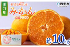 ＜みかん（南柑20号）贈答用 約10kg＞ 果物 くだもの フルーツ ミカン 柑橘 なんかん20ごう ナンカン20ゴウ 温州みかん うんしゅうみかん 贈答 ギフト プレゼント 特産品 株式会社笑丸 愛媛県 西予市【常温】