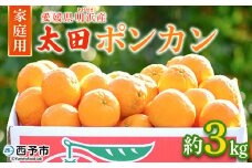 ＜太田ポンカン 家庭用 約3kg＞ 果物 くだもの フルーツ みかん ミカン 柑橘 太田ぽんかん おおたぽんかん オオタポンカン ぽんかん 訳あり ご自宅用 特産品 株式会社笑丸 愛媛県 西予市【常温】
