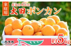 ＜太田ポンカン 家庭用 約5kg＞ 果物 くだもの フルーツ みかん ミカン 柑橘 太田ぽんかん おおたぽんかん オオタポンカン ぽんかん 訳あり ご自宅用 特産品 株式会社笑丸 愛媛県 西予市【常温】