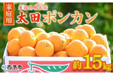 ＜太田ポンカン 家庭用 約15kg＞ 果物 くだもの フルーツ みかん ミカン 柑橘 太田ぽんかん おおたぽんかん オオタポンカン ぽんかん 訳あり ご自宅用 特産品 株式会社笑丸 愛媛県 西予市【常温】