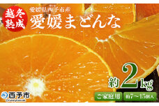 紅まどんなと同品種！＜愛媛県西予市産 越冬熟成 愛媛まどんな ご家庭用 約2kg＞ 訳あり みかん 蜜柑 ミカン 柑橘 果物 フルーツ 愛媛果試第28号 期間限定 マドンナ 愛媛マドンナ