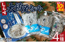 ＜しらす大満足セット 合計4種＞炊き込み 西予市産 ちりめん しらす干し 食べ比べ 健康 カルシウム 詰め合わせ チリメン シラス 魚介 海産物 海鮮 家庭用 贈答用 小分け 国産 特産品 産地直送 濱田水産 愛媛県 西予市【冷凍】