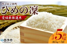 ＜愛媛県推進米 ひめの凜 約5kg＞ 5kg お米 コメ こめ 白米 精米 ご飯 ライス 穀物 ひめのりん ヒメノリン ヒメノ凜 ブランド米 大粒 ツヤツヤ 特産品 愛媛県産 西予市産 宇和町産 三好フク 愛媛県 西予市 【常温】
