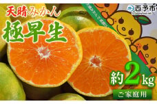 ＜天晴みかん 極早生 家庭用 約2kg＞ 温州ミカン 柑橘 果物 くだもの フルーツ 蜜柑 訳あり ワケアリ 自宅用 期間限定 季節限定 食べて応援 特産品 産地直送 愛媛県 西予市【常温】