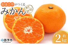 ＜おはこやがつくる 高品質みかん 約2kg（S～Lサイズ）＞ 果物 フルーツ 柑橘 ミカン 蜜柑 特産品 西宇和 愛媛県 西予市 【常温】