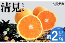 ＜おはこやがつくる 清見 約2kg（L～3Lサイズ）＞ 果物 フルーツ 柑橘 清見タンゴール みかん 特産品 西宇和 愛媛県 西予市 【常温】
