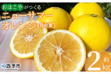 ＜おはこやがつくる ニューサマーオレンジ 約2kg（L～3Lサイズ）＞ 果物 フルーツ 柑橘 ミカン 蜜柑 日向夏 小夏 特産品 西宇和 愛媛県 西予市 【常温】