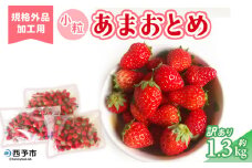 ＜訳あり いちご あまおとめ 約1.3kg 小粒 加工用 冷蔵 規格外品＞ 国産 サイズ 小粒 詰め合わせ アマオトメ 訳あり 訳アリ フルーツ 果物 苺 いちご イチゴ シャーベット スムージー りの果樹園 愛媛県 西予市【冷蔵】